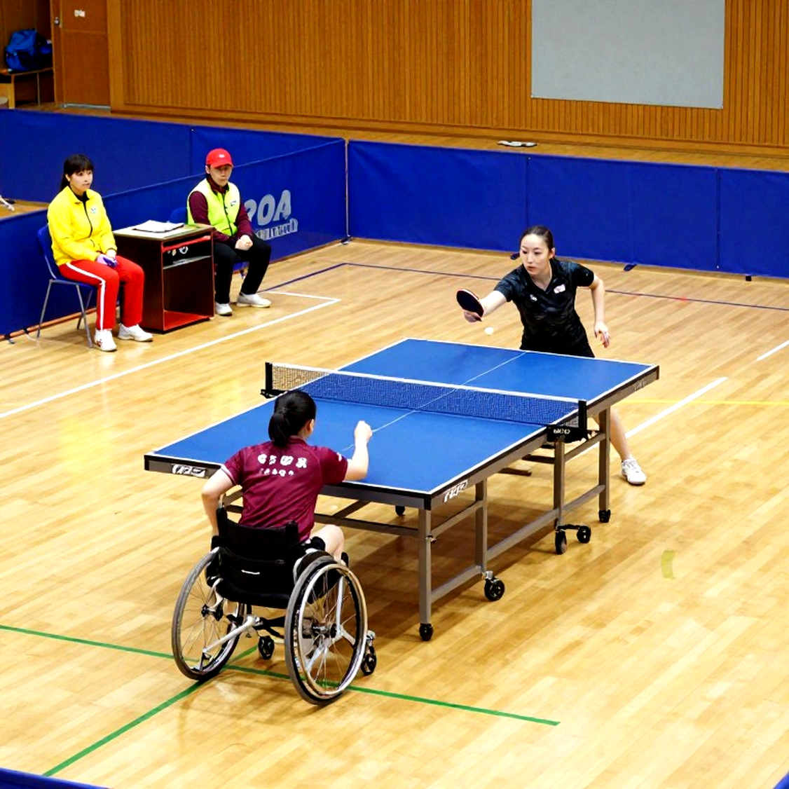 Bóng 40+ và cây vợt dọc: đọc lại không gian bàn bóng bàn sau Paris 2026 Bóng 40+ và cây vợt dọc: đọc lại không gian bàn bóng bàn sau Paris 2026