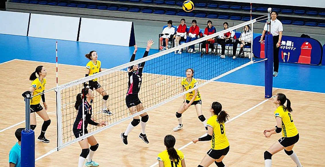 Egypt's First Olympic Volleyball Berth: When Africa Speaks at Los Angeles 2028