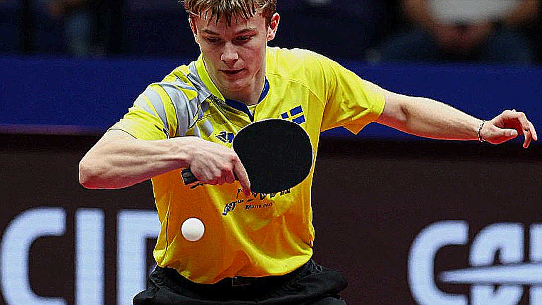 Table Tennis Transfers: A Contract Longer Than the Career of the One Who Signs It