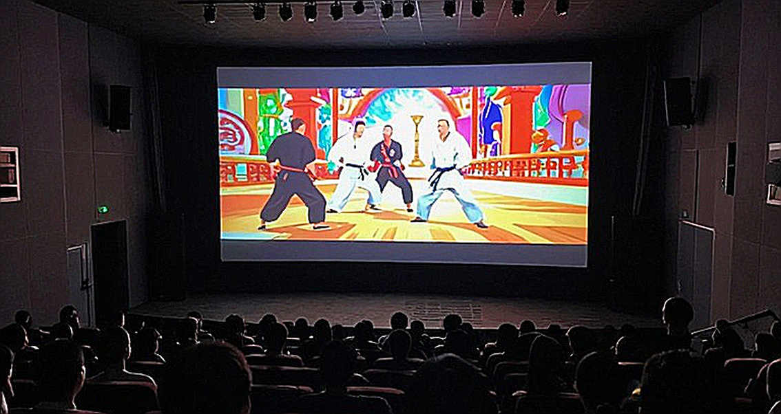 When Data is Empty: Analyzing Vietnamese Martial Arts and the Information Puzzle