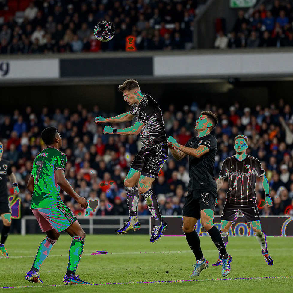 Solanke, De Zerbi và khoảng trống 65 triệu bảng ở Tottenham